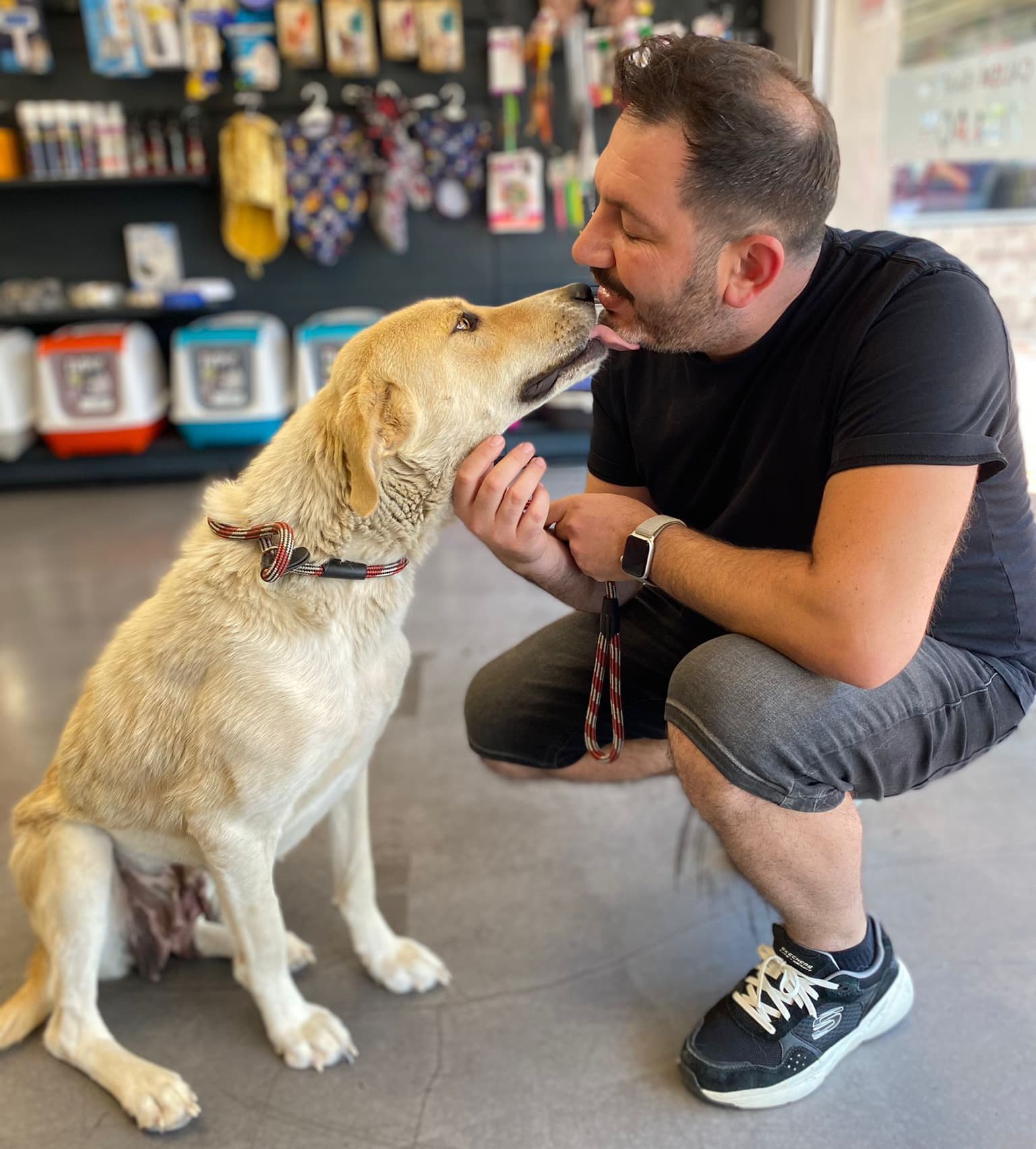 Ankara içi ve dışı